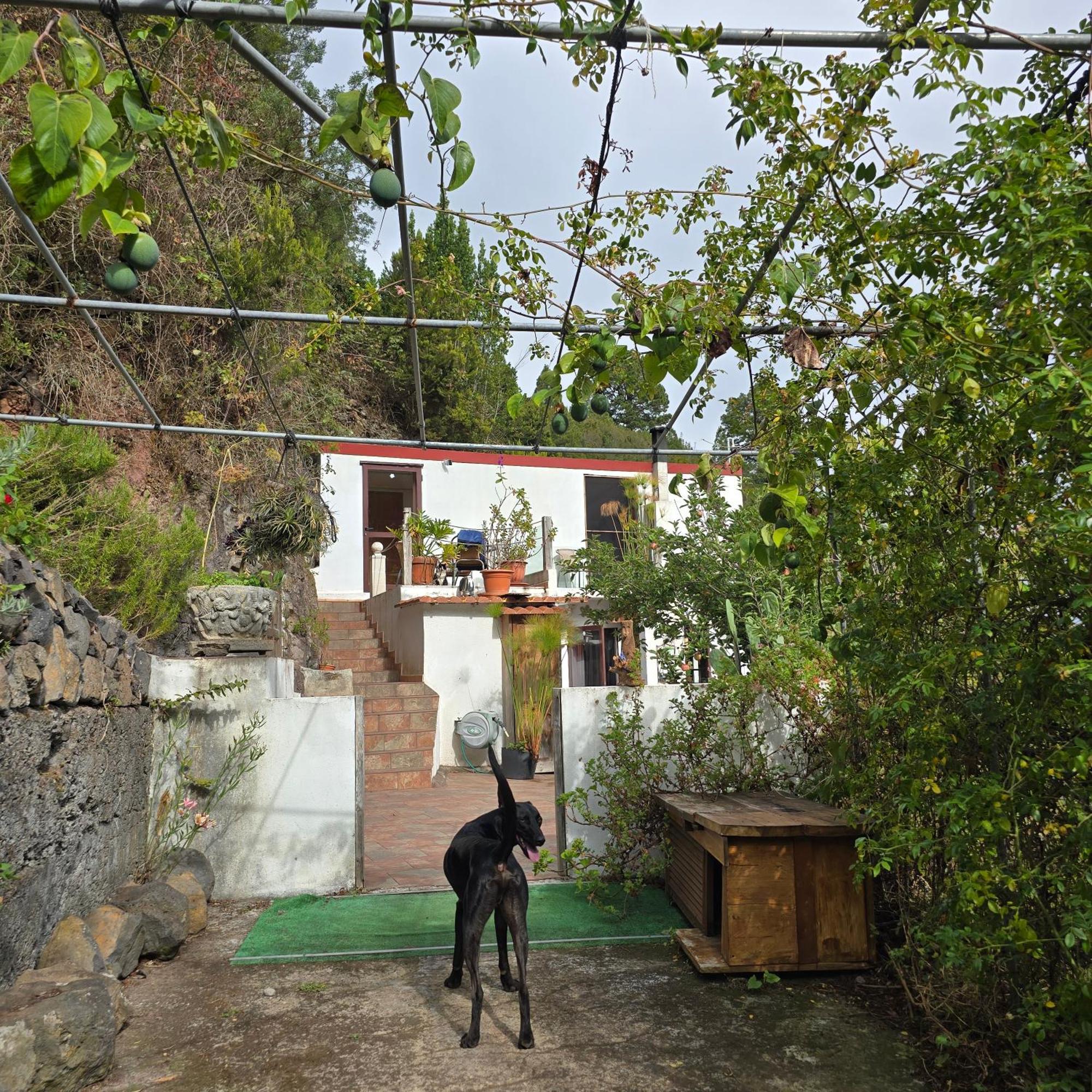 Freedom Villa El Tablado Ngoại thất bức ảnh